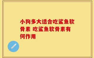 小狗多大适合吃鲨鱼软骨素 吃鲨鱼软骨素有何作用