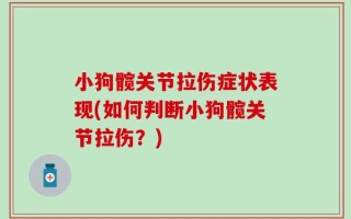 小狗髋关节拉伤症状表现(如何判断小狗髋关节拉伤？)