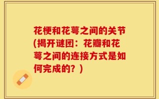 花梗和花萼之间的关节(揭开谜团：花瓣和花萼之间的连接方式是如何完成的？)