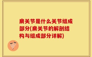 肩关节是什么关节组成部分(肩关节的解剖结构与组成部分详解)