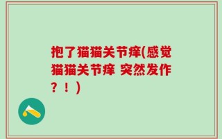 抱了猫猫关节痒(感觉猫猫关节痒 突然发作？！)