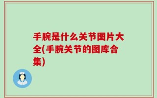 手腕是什么关节图片大全(手腕关节的图库合集)