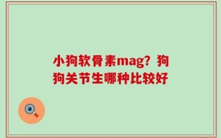 小狗软骨素mag？狗狗关节生哪种比较好