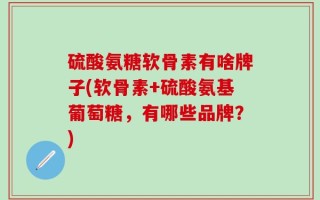 硫酸氨糖软骨素有啥牌子(软骨素+硫酸氨基葡萄糖，有哪些品牌？)