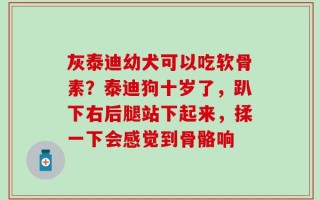 灰泰迪幼犬可以吃软骨素？泰迪狗十岁了，趴下右后腿站下起来，揉一下会感觉到骨骼响