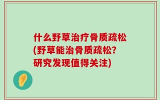 什么野草治疗骨质疏松(野草能治骨质疏松？研究发现值得关注)