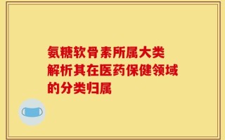 氨糖软骨素所属大类 解析其在医药保健领域的分类归属