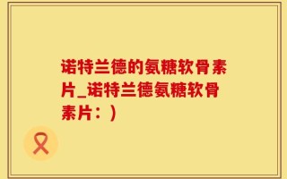 诺特兰德的氨糖软骨素片_诺特兰德氨糖软骨素片：)