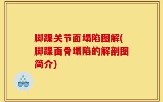脚踝关节面塌陷图解(脚踝面骨塌陷的解剖图简介)
