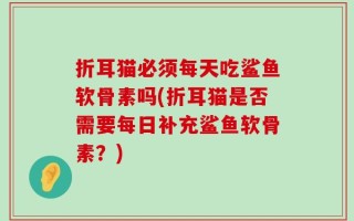 折耳猫必须每天吃鲨鱼软骨素吗(折耳猫是否需要每日补充鲨鱼软骨素？)