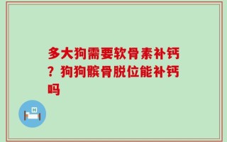 多大狗需要软骨素补钙？狗狗髌骨脱位能补钙吗
