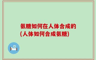 氨糖如何在人体合成的(人体如何合成氨糖)