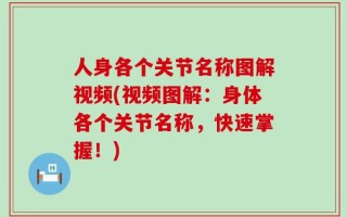 人身各个关节名称图解视频(视频图解：身体各个关节名称，快速掌握！)