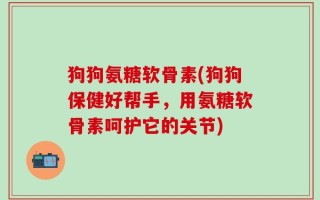 狗狗氨糖软骨素(狗狗保健好帮手，用氨糖软骨素呵护它的关节)