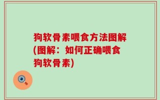 狗软骨素喂食方法图解(图解：如何正确喂食狗软骨素)