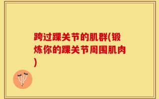跨过踝关节的肌群(锻炼你的踝关节周围肌肉)