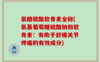 氨糖硫酸软骨素全称(氨基葡萄糖硫酸钠和软骨素：有助于舒缓关节疼痛的有效成分)