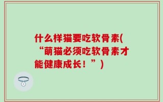 什么样猫要吃软骨素(“萌猫必须吃软骨素才能健康成长！”)