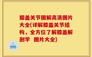 膝盖关节图解高清图片大全(详解膝盖关节结构，全方位了解膝盖解剖学  图片大全)