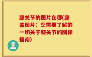 膝关节的图片在哪(膝盖图片：您需要了解的一切关于膝关节的图像指南)