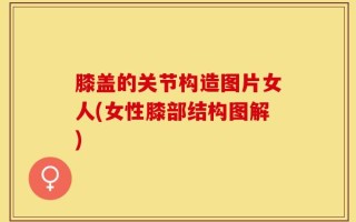膝盖的关节构造图片女人(女性膝部结构图解)