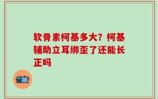 软骨素柯基多大？柯基辅助立耳绑歪了还能长正吗