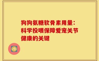 狗狗氨糖软骨素用量：科学投喂保障爱宠关节健康的关键