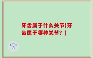 牙齿属于什么关节(牙齿属于哪种关节？)
