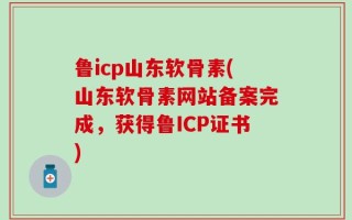 鲁icp山东软骨素(山东软骨素网站备案完成，获得鲁ICP证书)