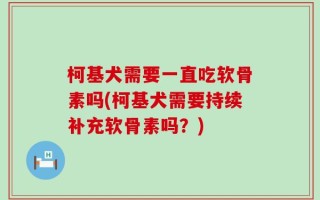 柯基犬需要一直吃软骨素吗(柯基犬需要持续补充软骨素吗？)