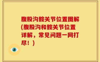 腹股沟髋关节位置图解(腹股沟和髋关节位置详解，常见问题一网打尽！)
