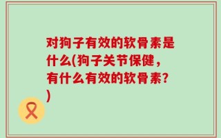 对狗子有效的软骨素是什么(狗子关节保健，有什么有效的软骨素？)