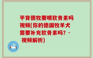 平背德牧要喂软骨素吗视频(你的德国牧羊犬需要补充软骨素吗？- 视频解析)
