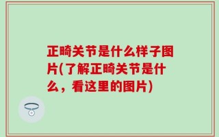 正畸关节是什么样子图片(了解正畸关节是什么，看这里的图片)