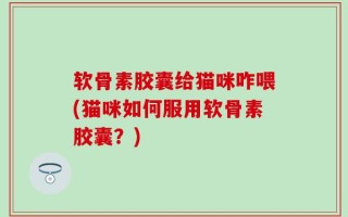 软骨素胶囊给猫咪咋喂(猫咪如何服用软骨素胶囊？)