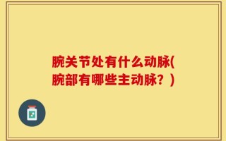 腕关节处有什么动脉(腕部有哪些主动脉？)