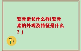 软骨素长什么样(软骨素的外观及特征是什么？)