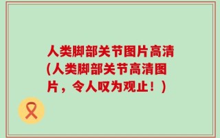 人类脚部关节图片高清(人类脚部关节高清图片，令人叹为观止！)