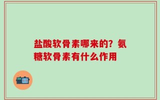 盐酸软骨素哪来的？氨糖软骨素有什么作用
