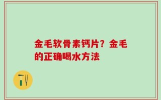金毛软骨素钙片？金毛的正确喝水方法