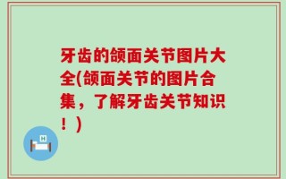 牙齿的颌面关节图片大全(颌面关节的图片合集，了解牙齿关节知识！)