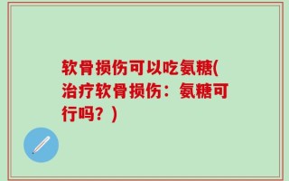 软骨损伤可以吃氨糖(治疗软骨损伤：氨糖可行吗？)