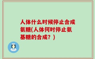 人体什么时候停止合成氨糖(人体何时停止氨基糖的合成？)