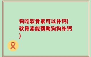 狗吃软骨素可以补钙(软骨素能帮助狗狗补钙)