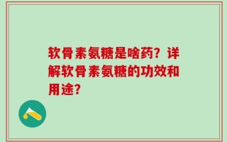 软骨素氨糖是啥药？详解软骨素氨糖的功效和用途？