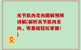 关节肌肉走向图解视频讲解(解析关节肌肉走向，零基础轻松掌握！)