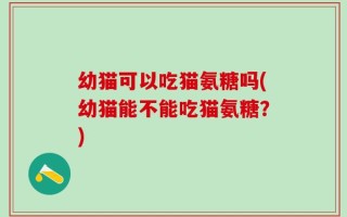 幼猫可以吃猫氨糖吗(幼猫能不能吃猫氨糖？)