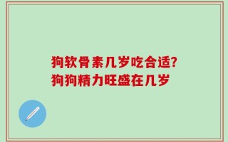 狗软骨素几岁吃合适？狗狗精力旺盛在几岁