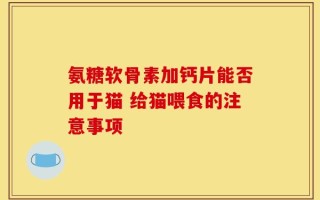 氨糖软骨素加钙片能否用于猫 给猫喂食的注意事项