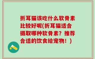 折耳猫该吃什么软骨素比较好呢(折耳猫适合摄取哪种软骨素？推荐合适的饮食给宠物！)